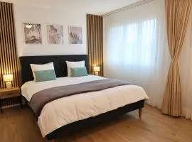 Top duplex Apartment Zurich-Limmattal