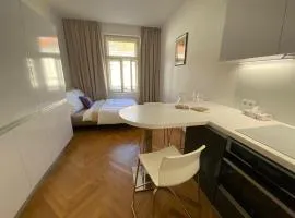 Modern Apartments Letna