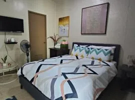 LDN 6E -Two Palm Tree, hotel near Ninoy Aquino International Airport - MNL, Manila