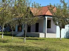 Konak