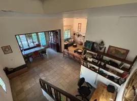 Province style 2 floor house with the garden, roof and fireplace