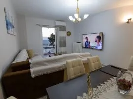 Vicky's view house