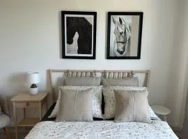 Samorin XBS view apartman plus parking
