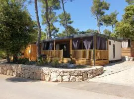 Mobile home Nika