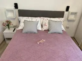 Apartments Dalia House