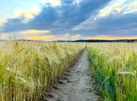 Ruhe Oase Steinhöfel - Balkon, Naturblick, Design-Maisonette-Apartment - nahe Fürstenwalde-Spree