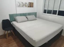 Areatricolor