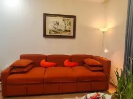 Mèo Home