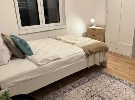 New 3-room apartment with garden