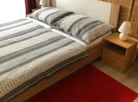 Apartmán A Luhačovice
