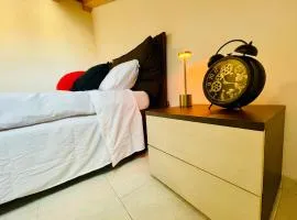 Coco Home-Chic Mansarda In the Heart of Turin