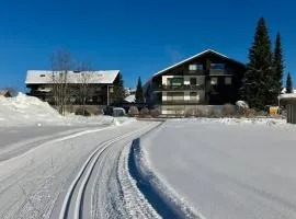 Ferienwohnung Bergrose