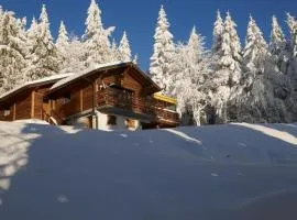 La Sérotine Chalet GERARDMER