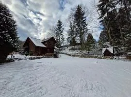 Rodzinny Dom Wypoczynkowy Grzechynia Carchla