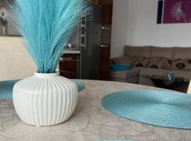 Apartament Sonia - 2 dormitoare โรงแรมที่สัตว์เลี้ยงเข้าพักได้ในบิสตริซา