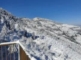 Regency I Vacations I Conference I MICE I Family Events I Open Air Terrace I Sky Bonfire I Wooden Rooms With Pvt Balconies I Charvi Retreat by Exotic Stays