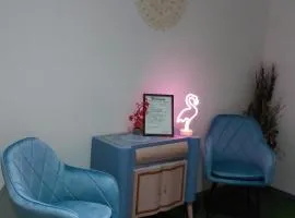 3 room Flamingos
