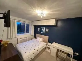 Room in London