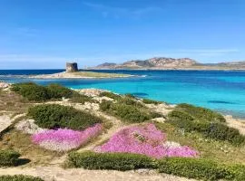 Hotel in Stintino just 50 mt from the sea