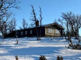 Cozy cabin near Geilo & Dagali terrace, grill, fireplace, view & WiFi