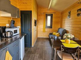 Les terrasses des bouleaux G&icirc;tes et Chalets SPA, къмпинг в Ranspach