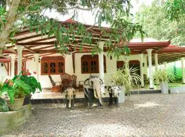 Nima villa