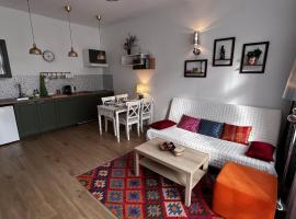 Przytulny apartament，位于霍茹夫的酒店