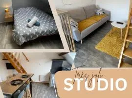 Superbe studio à proximité du centre-ville