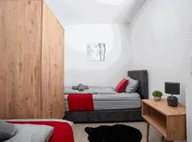 Livemore24 - Apartment 4 in Recklinghausen Hoch WLAN - Smart-TV - 24-7 Check-in und Küche