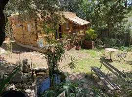 Cabane bambou