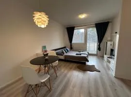 Moderné štúdio s bezplatným parkovaním
