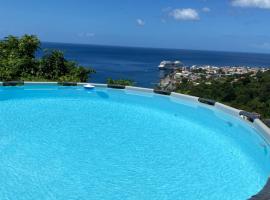 Fortune Sea view Villa, hotel v destinaci Roseau
