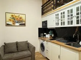 Newly renovated apartment in Wenceslas square