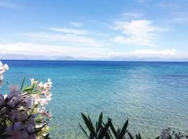 Villa Diana Beachfront Vacation Home
