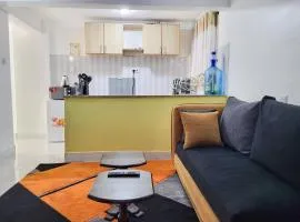 1 BDR APT 10 Mins To Thika Road Mall TRM