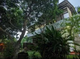 Mango tree view holiday house