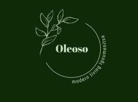 Oleoso, hotel v destinaci Igumenica
