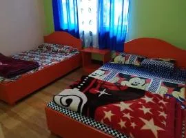 Pine Valley Homestay