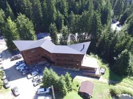 Tirol Panzio