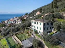 Gli Ulivi