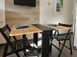 Appart avec terrasse et parking