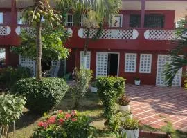Las Margaritas Frente al mar 1