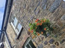 Brynteg cottage near seaside resort of New Quay