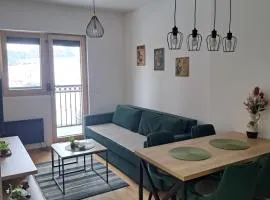 Apartman Green House Zlatibor