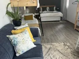 Naude Family Room