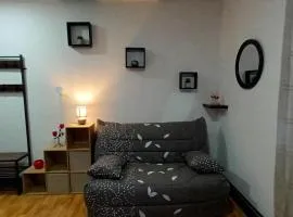 Studio 18M2 proche de Vulcania