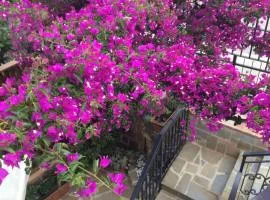 BOUGAINVILLEA Relax e Mare a 50m, in Centro!