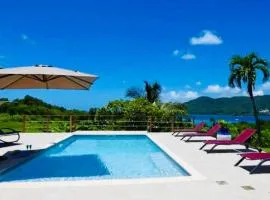 Magnifique villa piscine vue mer à 180