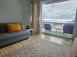 Sinaia Mountain View Residence Belleview