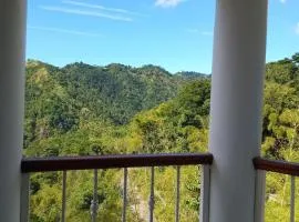 Gorgeous 1 Bedroom Apartment in the Kingston Hills